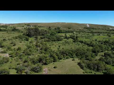 Farm in Aiguá, 39 hectares - Maldonado
