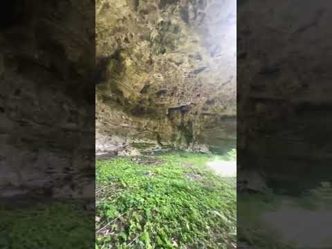 LAND WITH A CENOTE FOR SALE IN VALLADOLID, YUCATÁN | 33 HECTARES