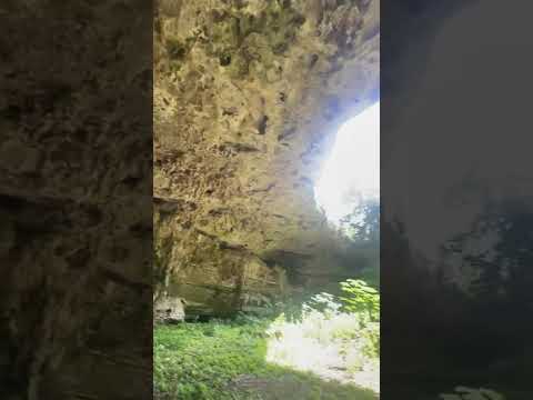 LAND WITH A CENOTE FOR SALE IN VALLADOLID, YUCATÁN | 33 HECTARES