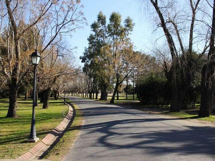 Home - Los Lagartos