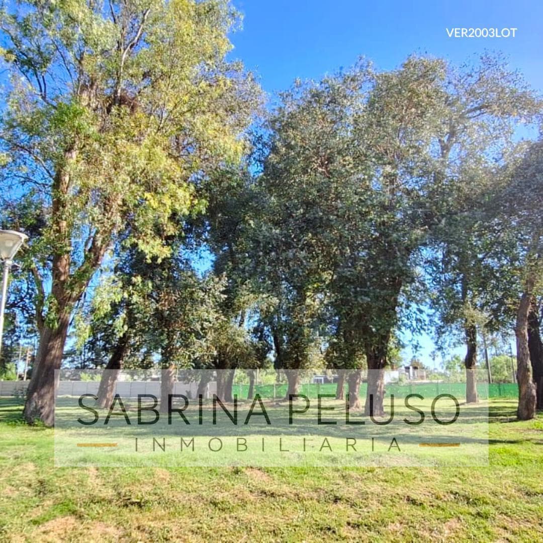 HOUSE FOR SALE in Alvarez del Bosque, MORENO