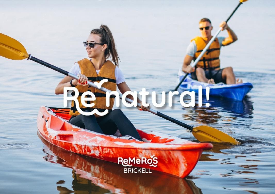 The Best Option for a Well in TIGRE - Remeros Brickell