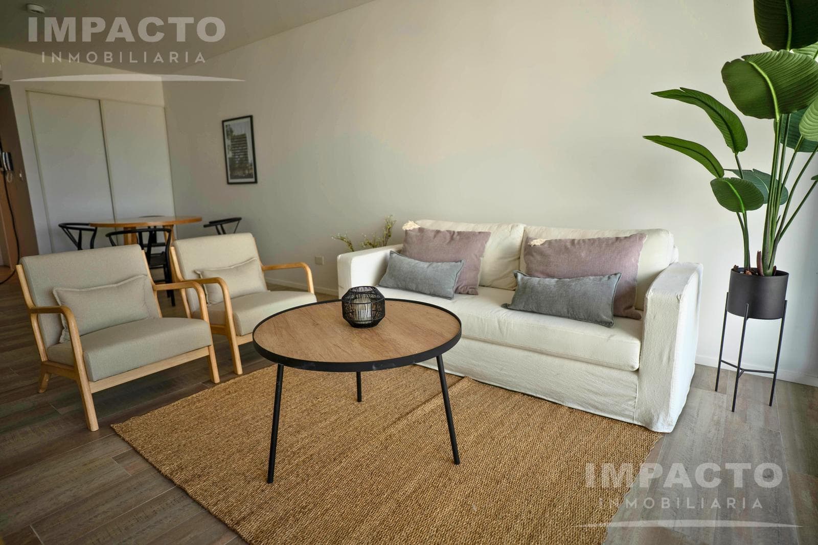 Office / Showroom for Rent in the Federal Capital, Buenos Aires - FOR PROFESSIONAL USE ONLY