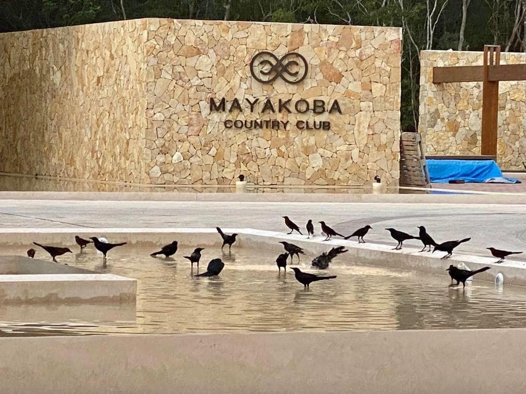 Land for Sale, 410 m² Buildable Area in Mayakoba, Country Club, Playa del Carmen