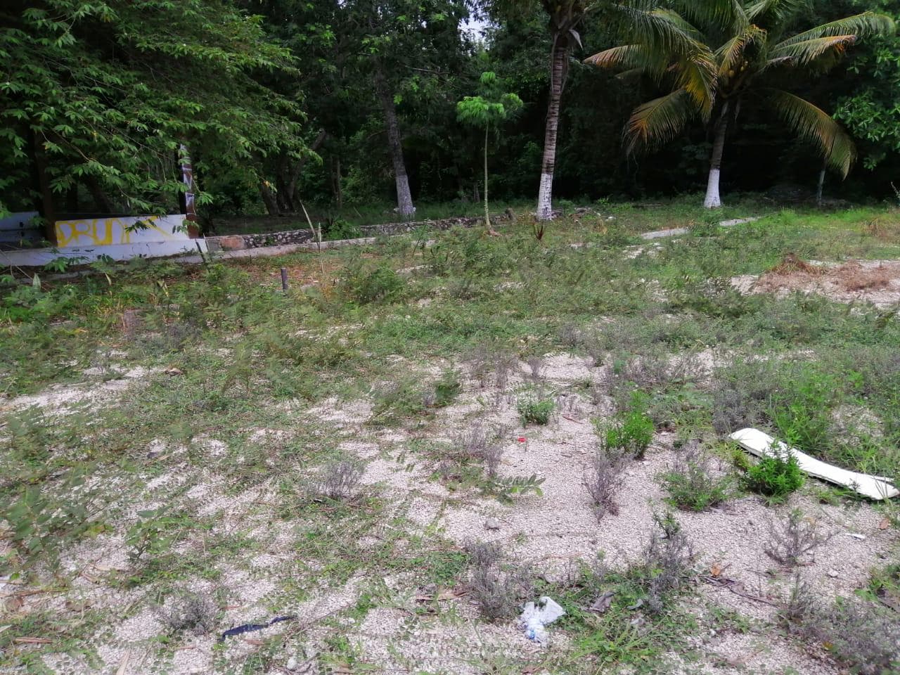 Land for sale in Playa del Carmen, right off the Playa del Carmen–Cancún federal highway.