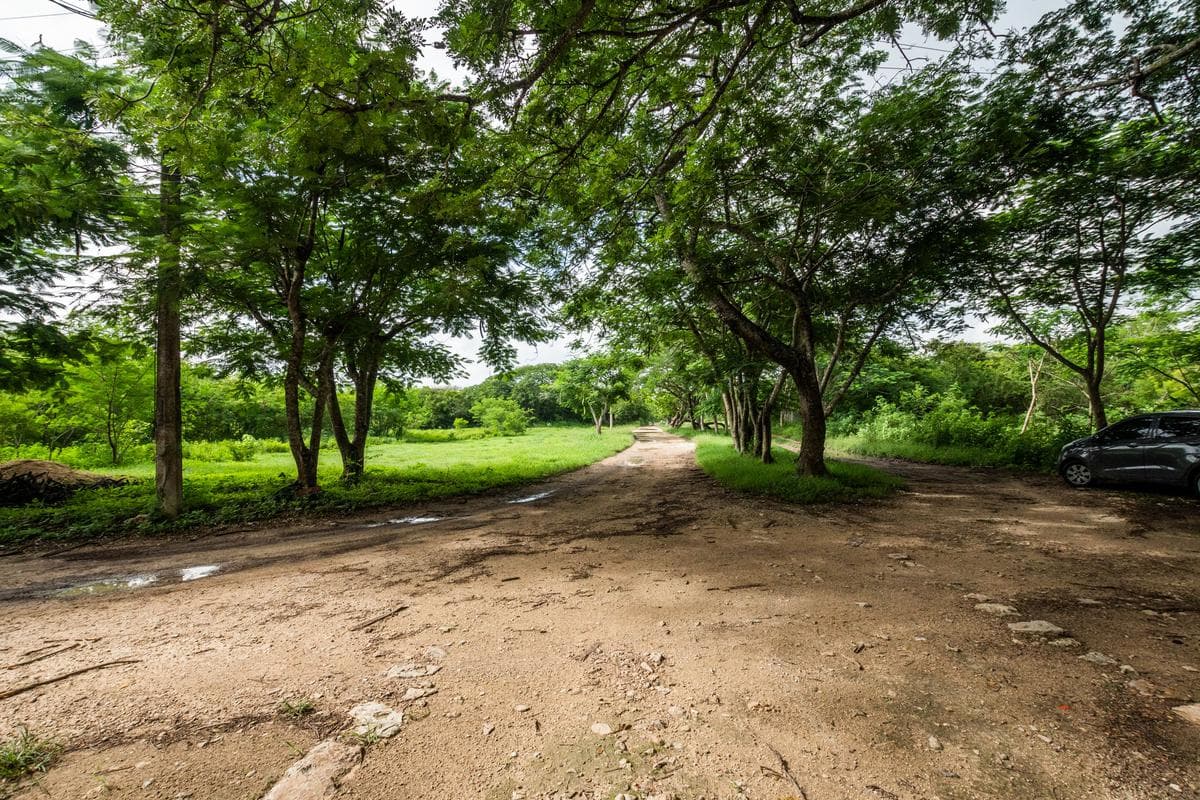 LAND FOR SALE IN CONKAL, MÉRIDA, YUCATÁN