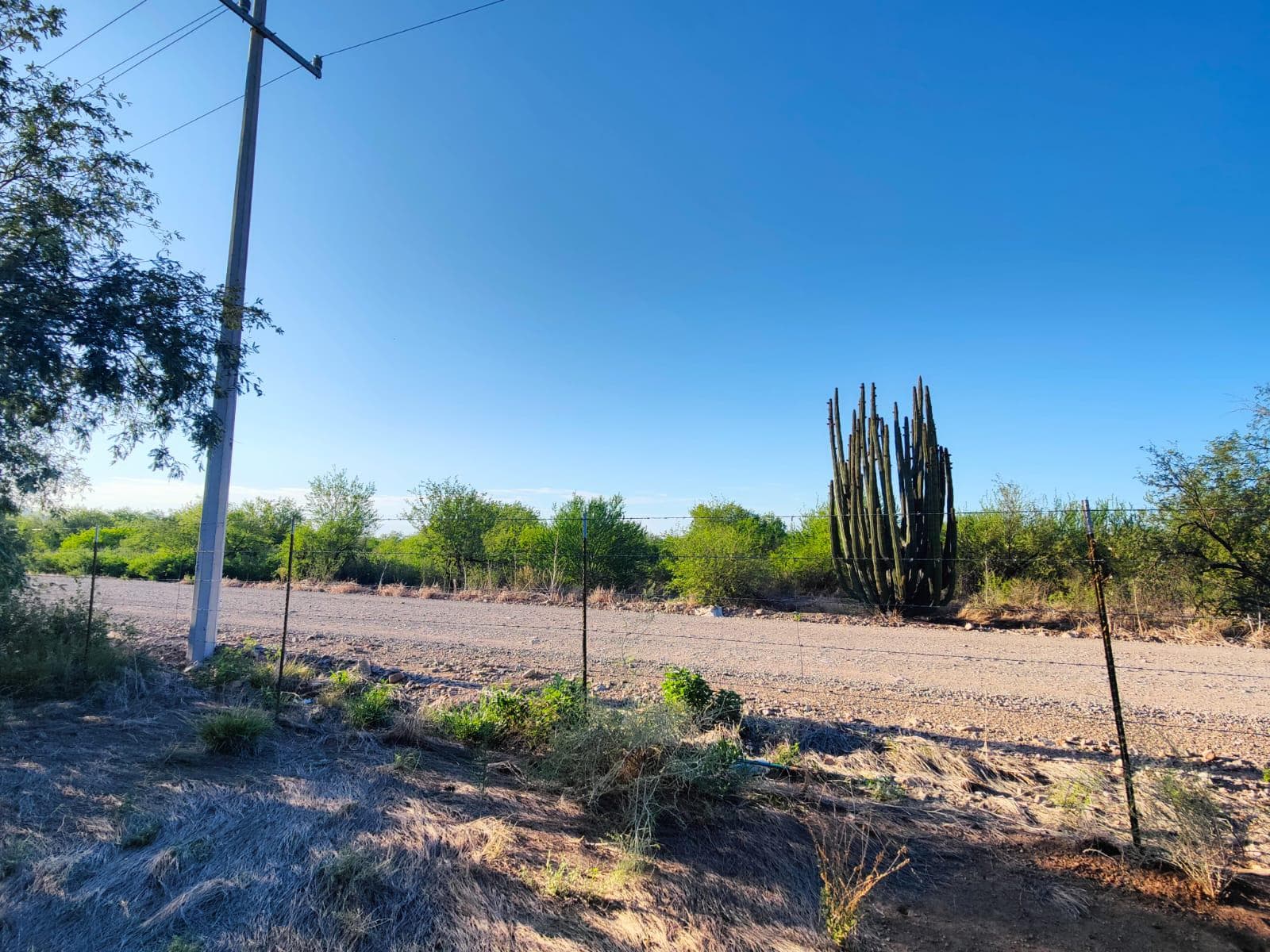 Land for Sale on the Road to La Colorada