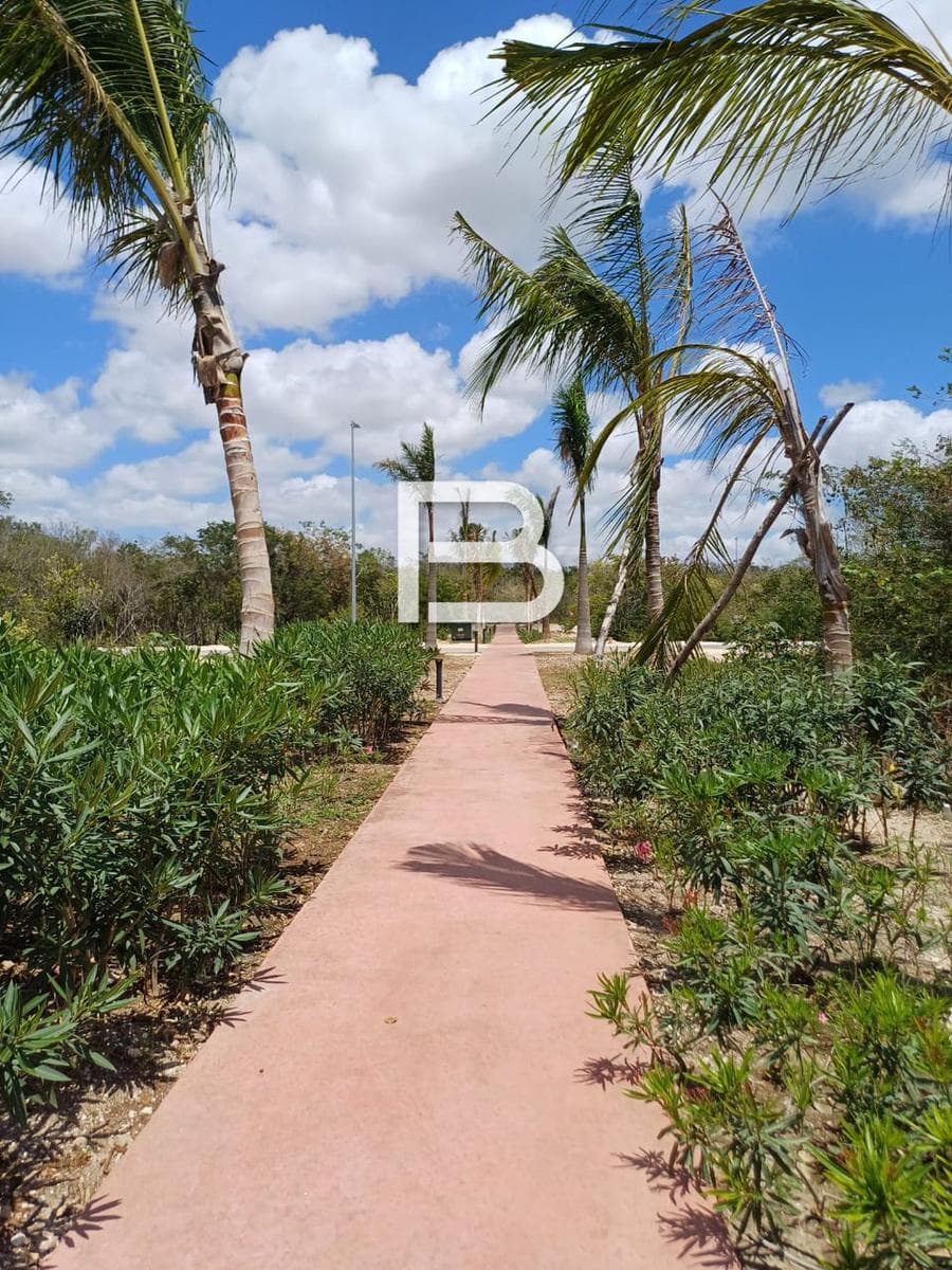 Two Lots for Sale in the Lausana Residential Complex