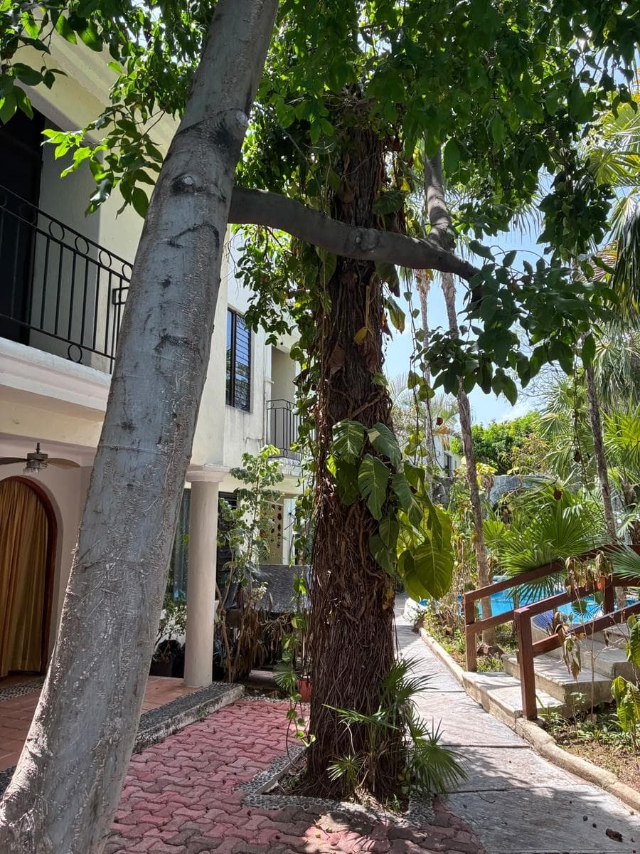HOUSE FOR RENT AT SUPMZ 45 AV DEL SOL, CANCUN CENTER