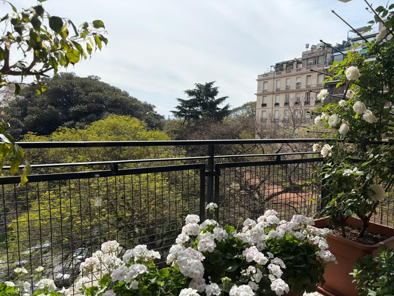 Apartment in Recoleta
