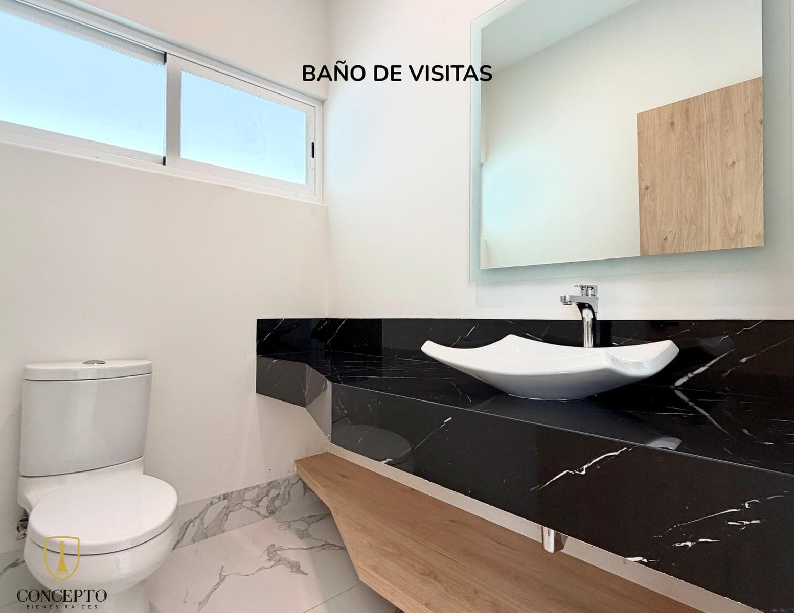 Modern House, Type 2