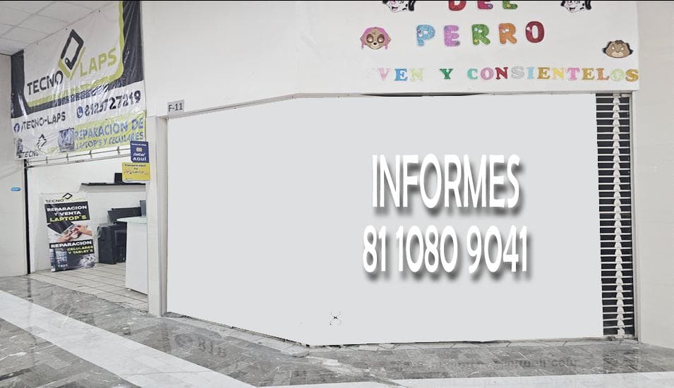 EXCELLENT COMMERCIAL PROPERTY ON ROMULO GARZA AVENUE, PLAZA OPCION, SAN NICOLAS, NL