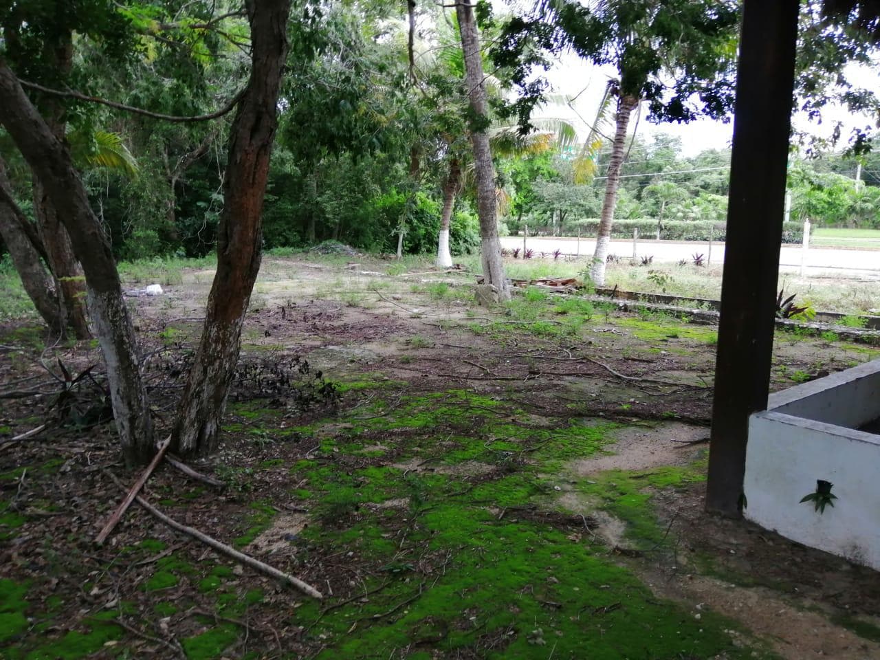 Land for sale in Playa del Carmen, right off the Playa del Carmen–Cancún federal highway.