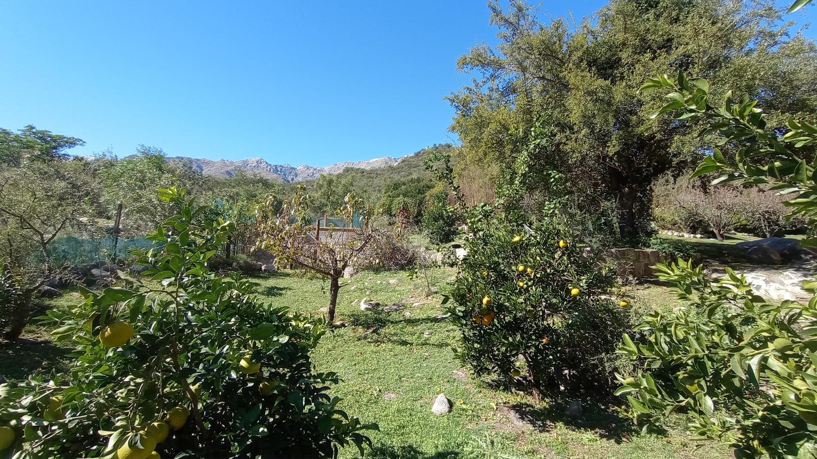 High-Altitude Ranch in Villa de Las Rosas | 2.5 Hectares | Nestled Between Mountains and Valleys
