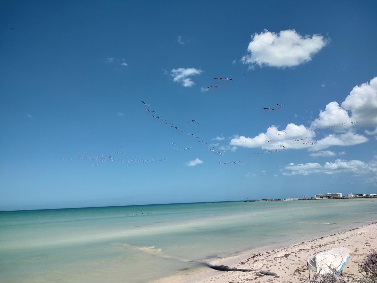 Oceanfront Lots in Sisal, Yucatán, with an Interest-Free Financing Plan