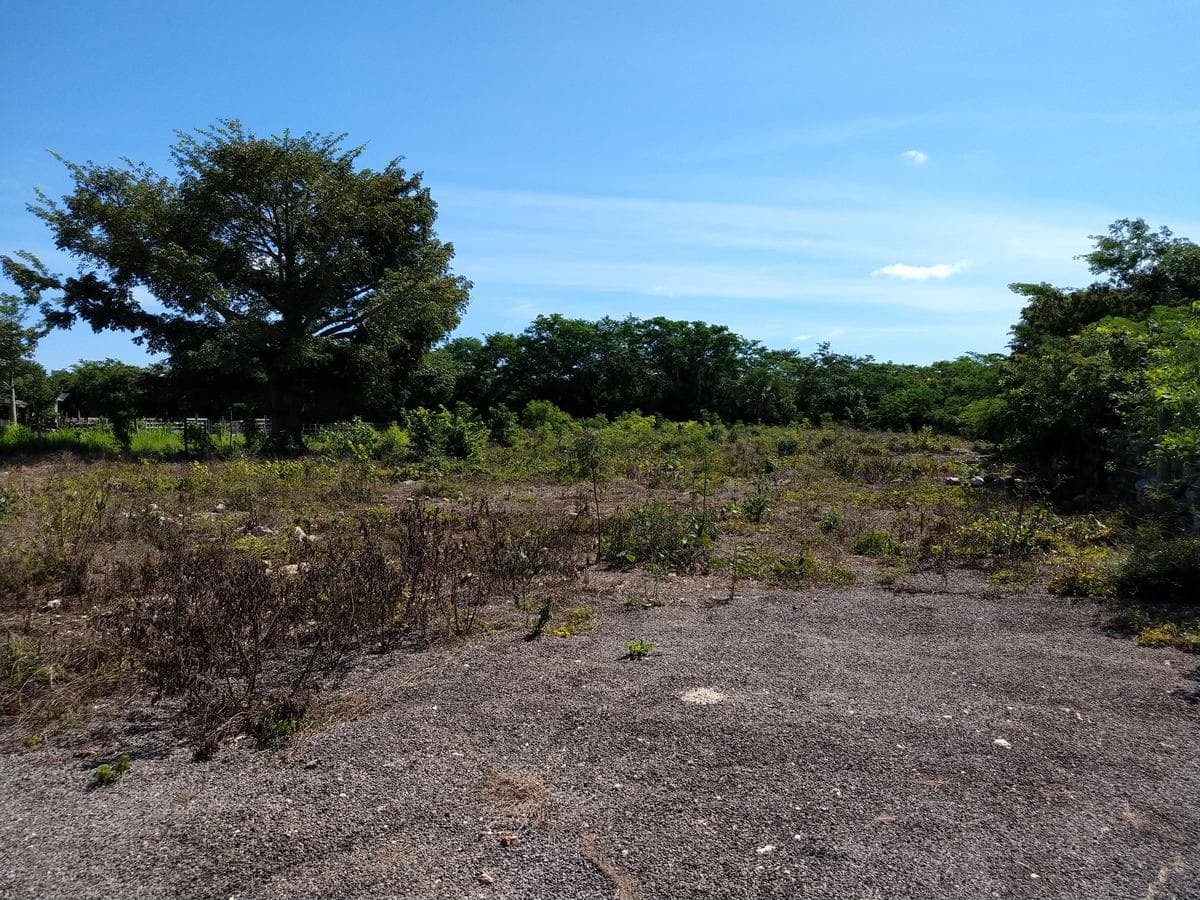 A 3,500-square-meter lot on the outskirts of Chicxulub Pueblo