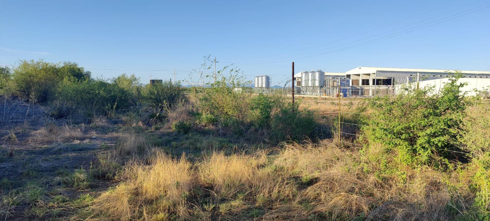 Land for Sale on the Road to La Colorada