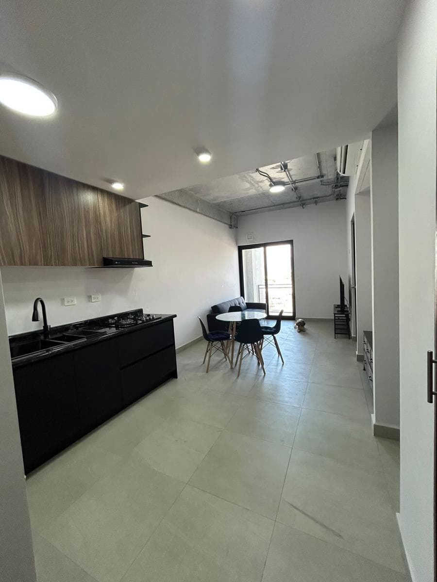 FURNISHED APARTMENT FOR RENT IN TORRE MITT