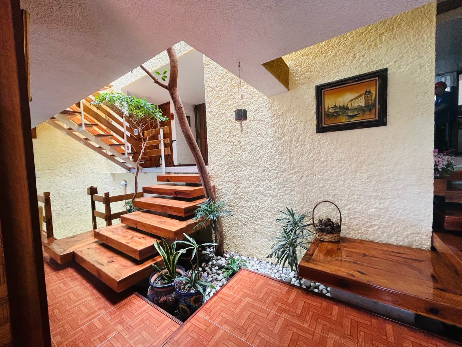House - Lomas de Guadalupe