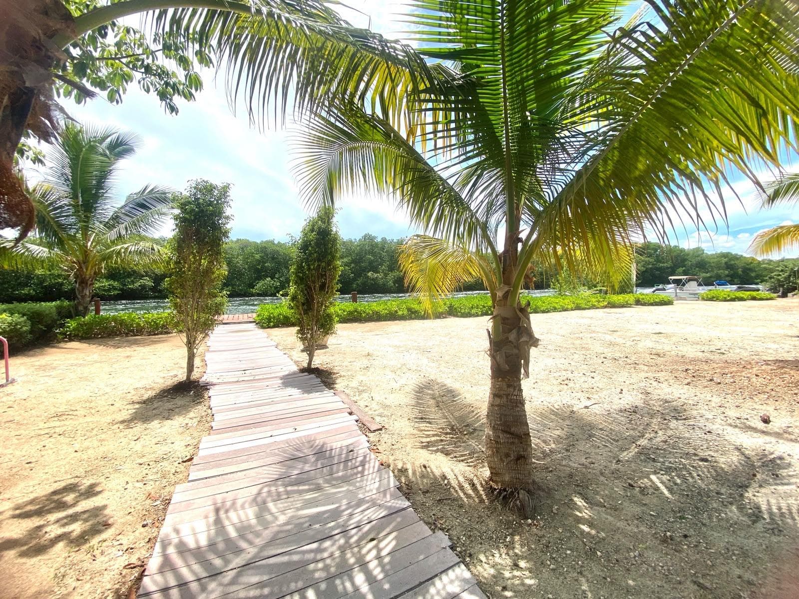Apartment in the Hotel District, PLAYA LINDA Condominium
