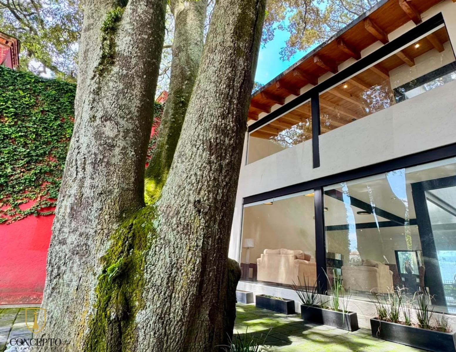Tree House at Encinos Golf Club