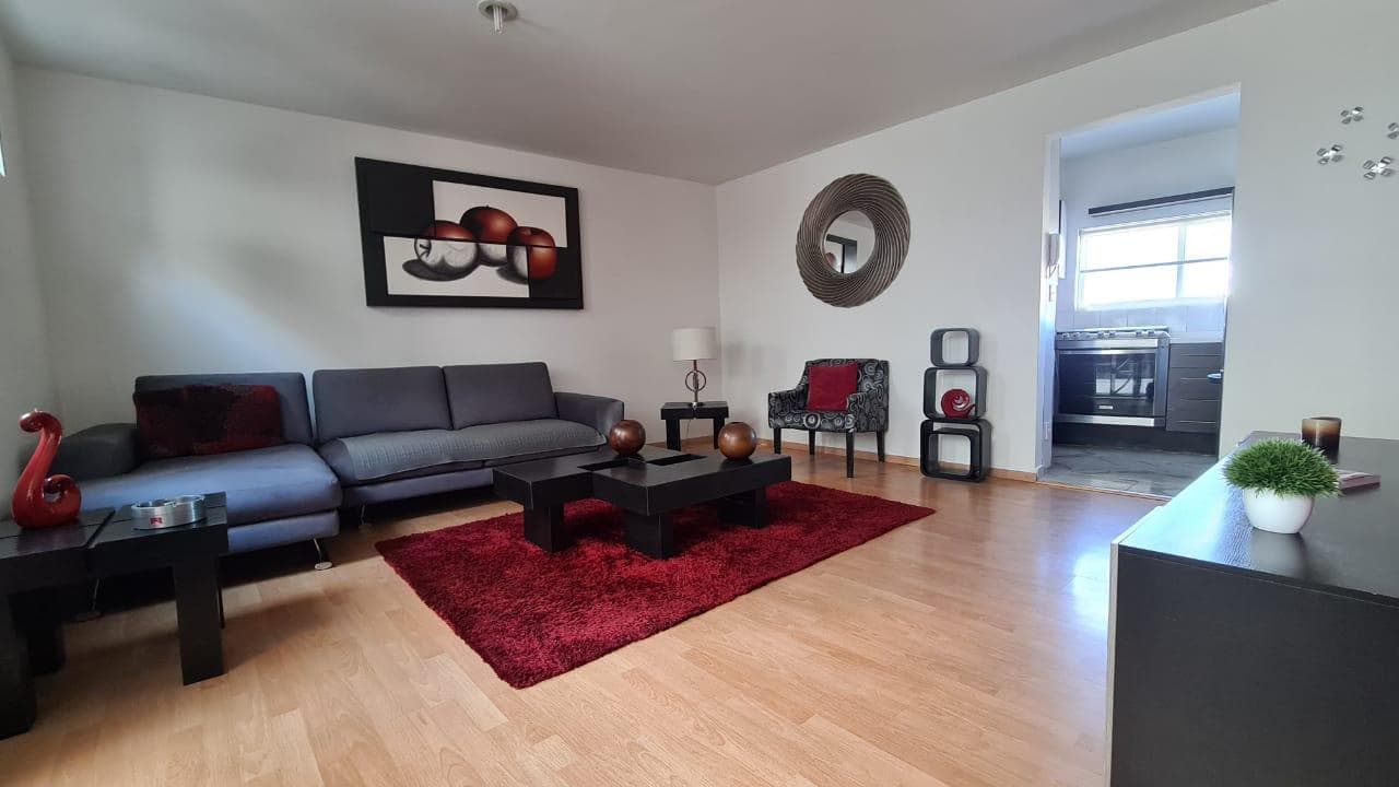 Furnished Apartment for Rent in Del Valle Centro