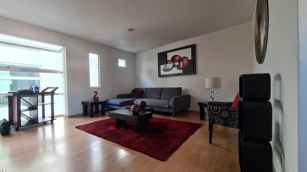 Furnished Apartment for Rent in Del Valle Centro