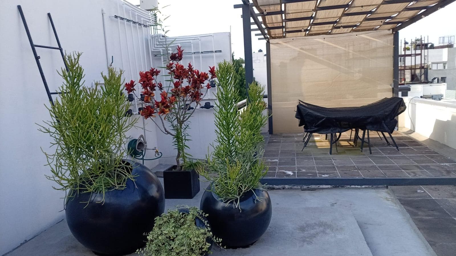 2-Bedroom Apartment for Sale in Residencial Tajín, Benito Juárez