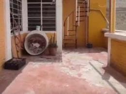 House for Sale in Cocoyotes with 3 Bedrooms