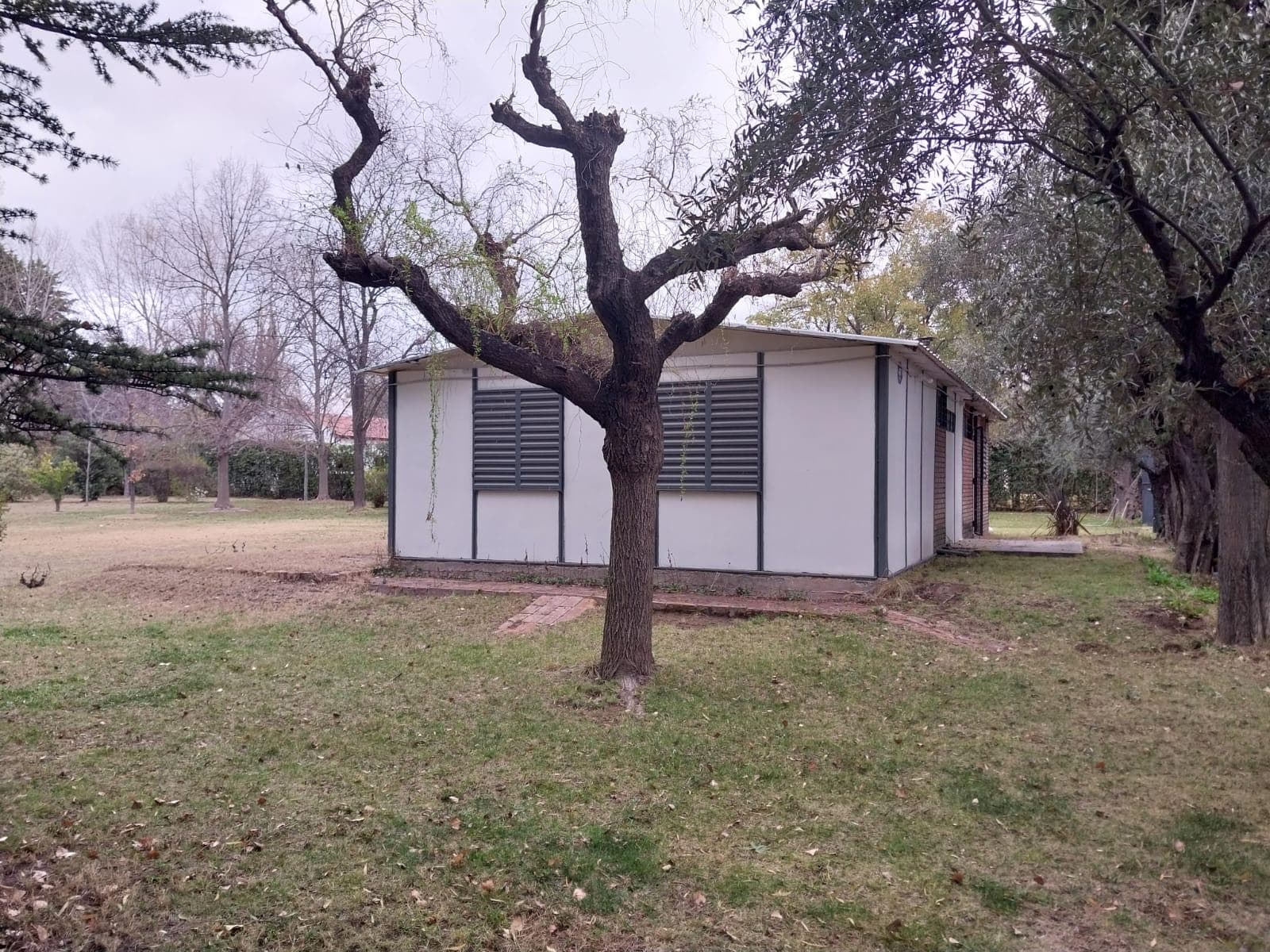 Property for Sale with Great Potential in Vistalba