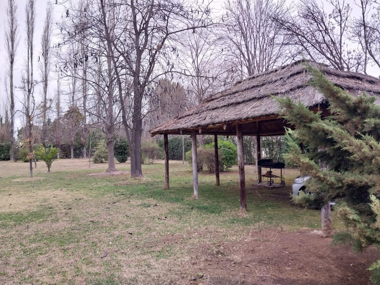 Property for Sale with Great Potential in Vistalba