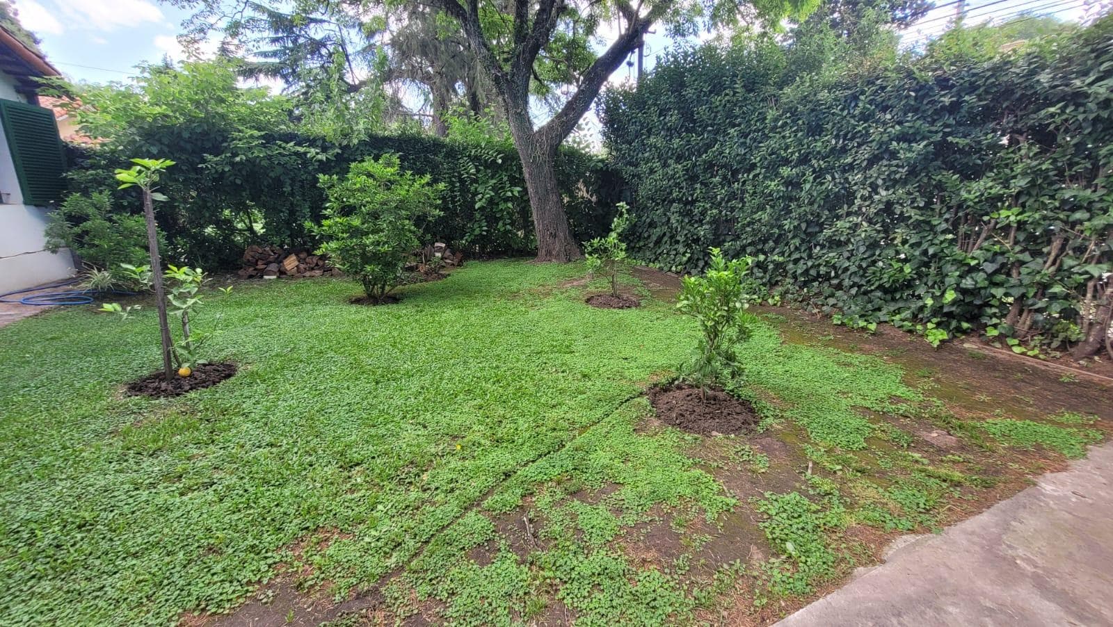 House with Pool for Short-Term Rentals - Pardo 1800 - Bella Vista