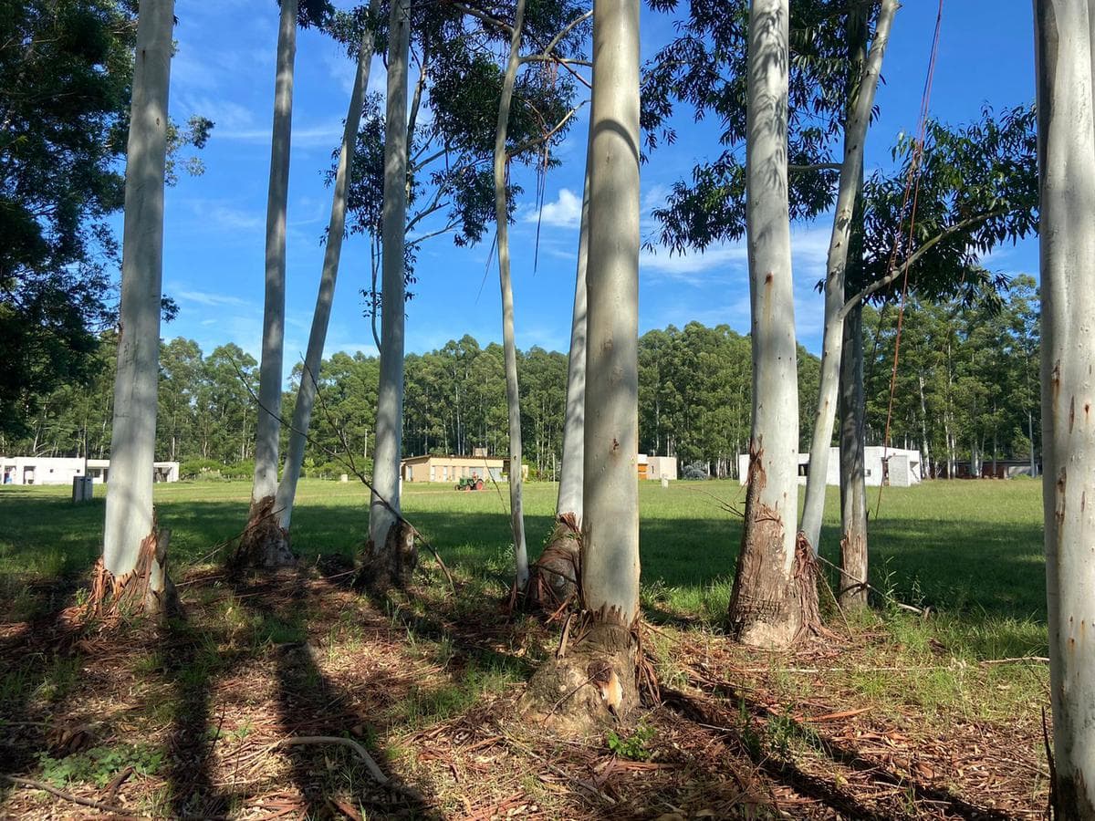Lots for sale at Aldea Club de Campo in Colón, Entre Ríos, starting at USD 38,000!