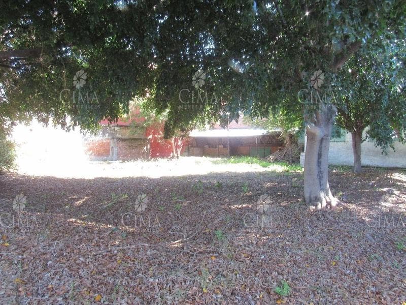 LAND FOR SALE IN ÁLVARO OBREGÓN, CUERNAVACA, MORELOS - T17
