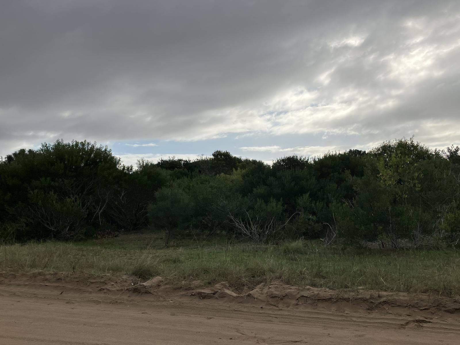 Lot in the Mar de las Pampas Forest