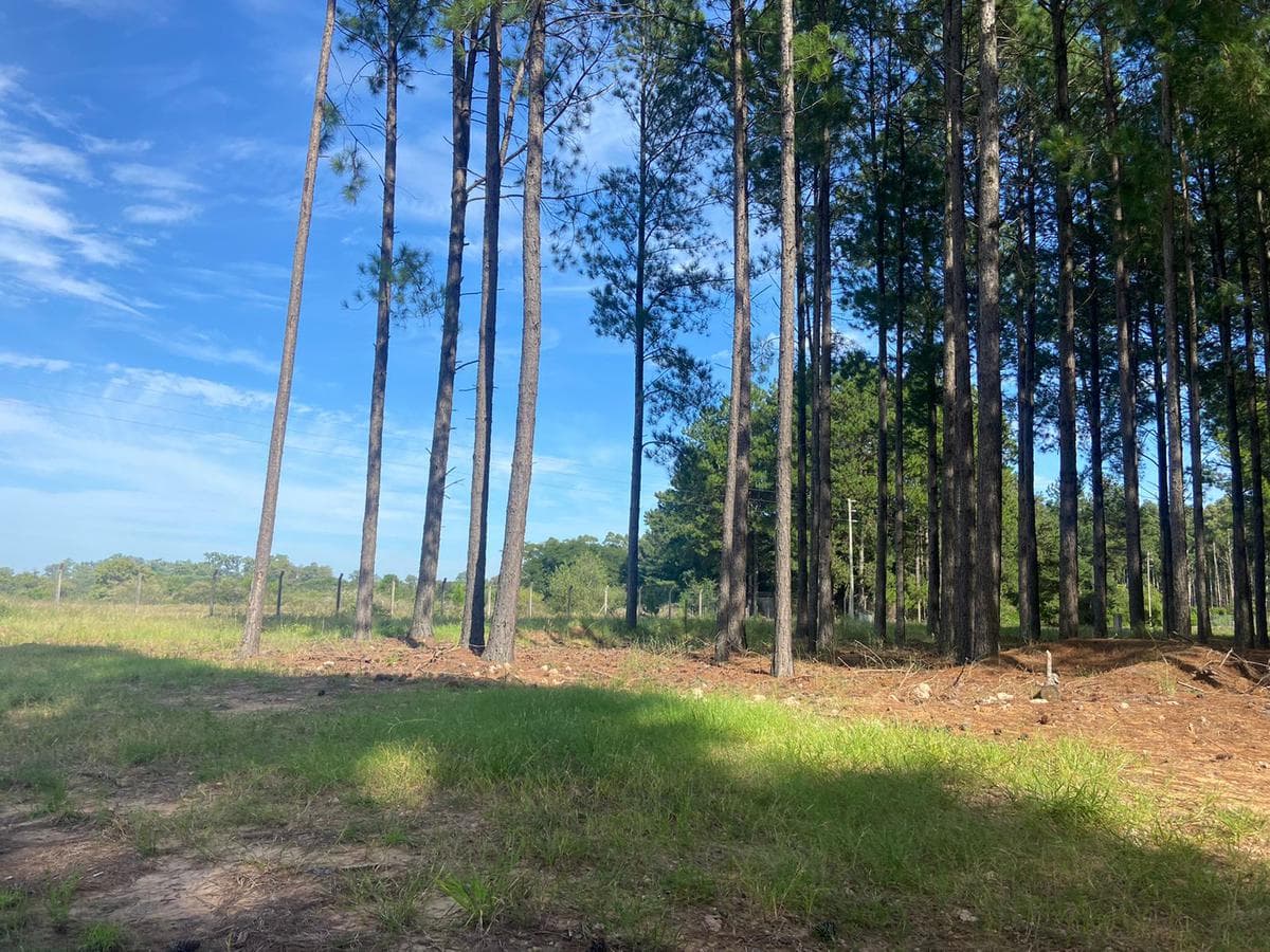 Lots for sale at Aldea Club de Campo in Colón, Entre Ríos, starting at USD 38,000!