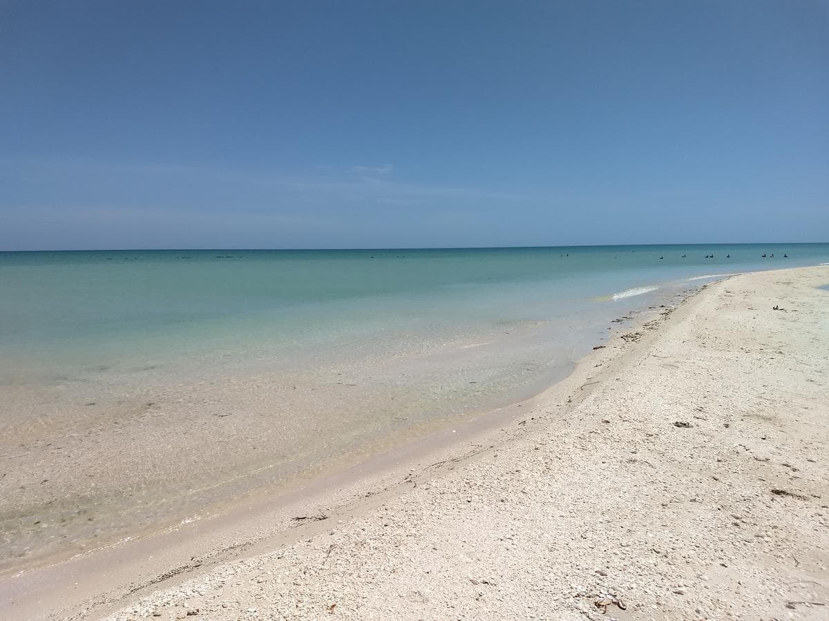 25-meter Oceanfront Lot in Sisal Sunset Shore, Yucata