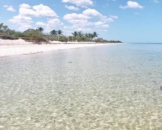 Land for Sale ON THE BEACH, DIRECTLY ON THE OCEAN, in Telchac, Mérida, Yucatán