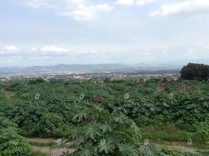 LAND FOR SALE WITH DEEDS IN CUERNAVACA - T9-1