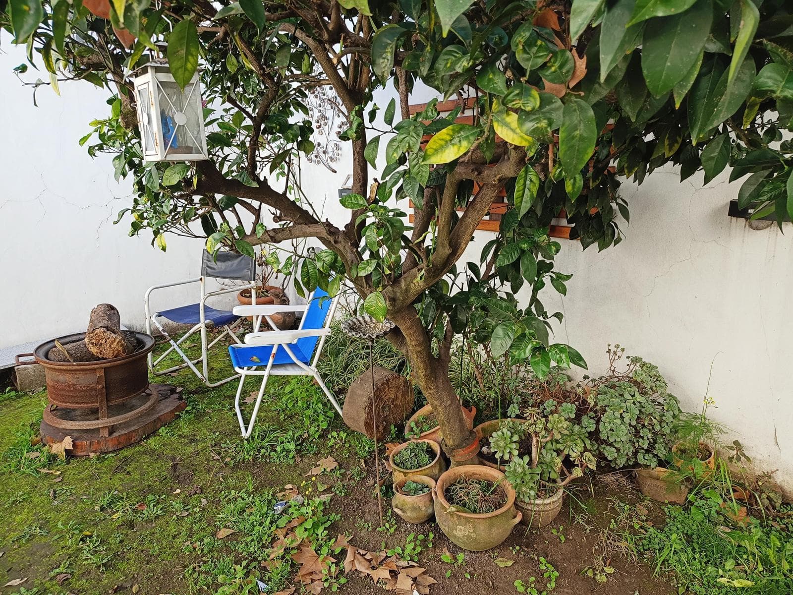 5-Room House for Sale—Qualifies for a Mortgage—in Versalles
