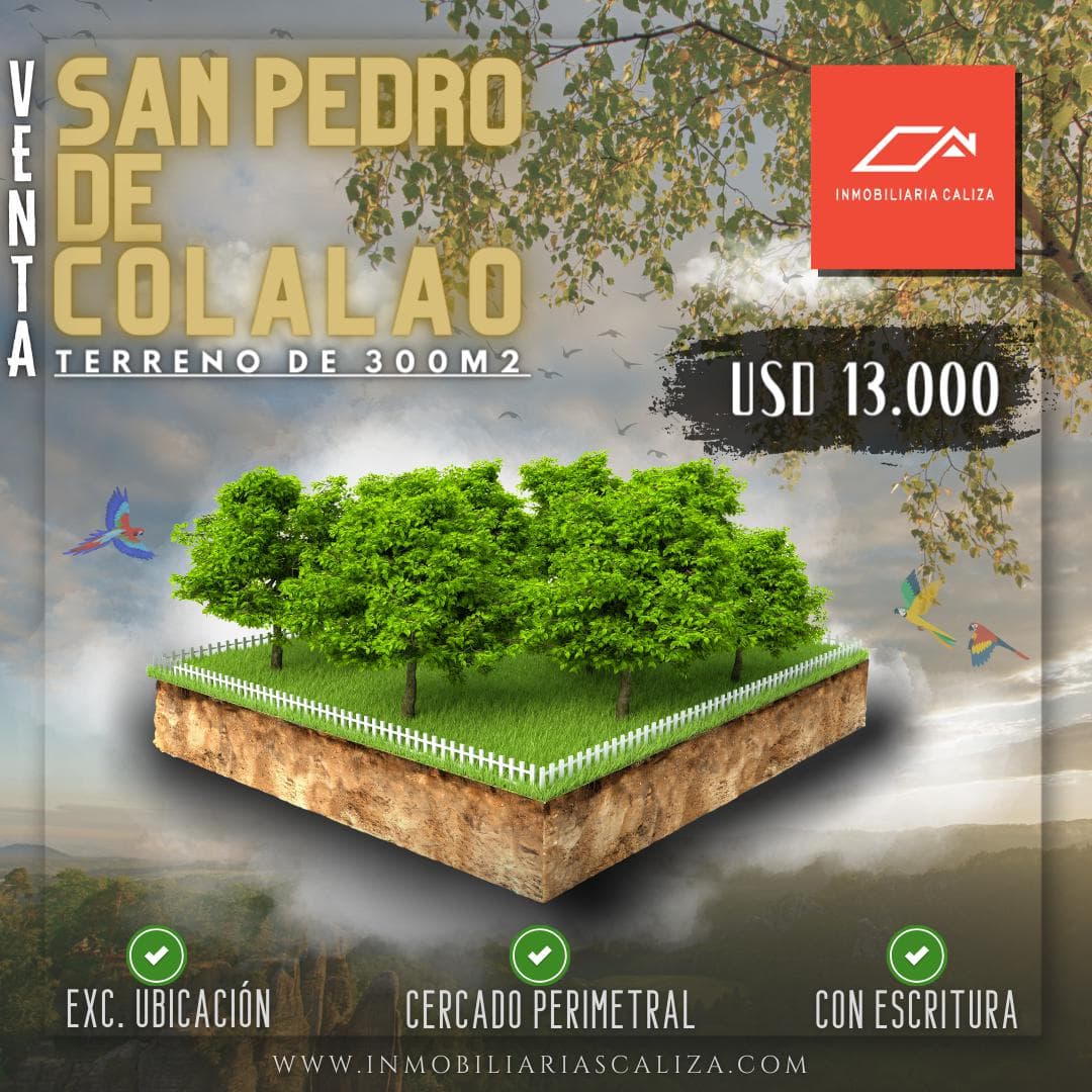 LAND FOR SALE IN SAN PEDRO DE COLALAO | TUCUMAN