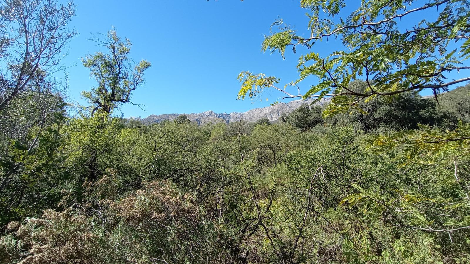 High-Altitude Ranch in Villa de Las Rosas | 2.5 Hectares | Nestled Between Mountains and Valleys