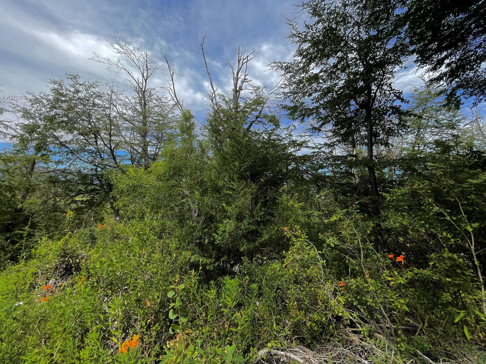Lot in the exclusive Arelauquen area - Bariloche