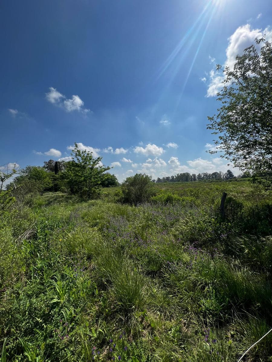 Land in Ibarlucea - Subdivision - Homes - Ideal open neighborhood