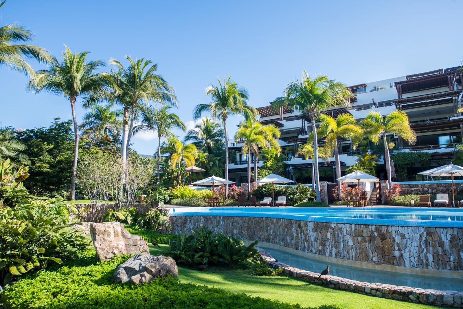 LOS VENEROS | ON THE BEACH | PUNTA DE MITA