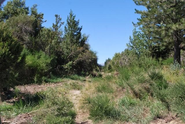 Subdivision in Lago Moreno - Bariloche