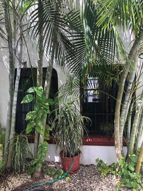 CASA EN VENTA EN CANCUN CENTRO SM 61