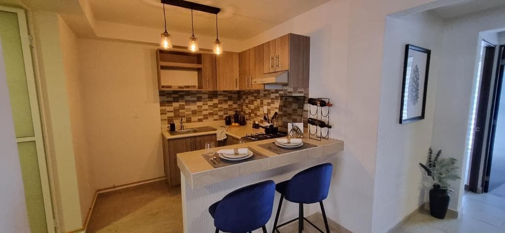 BEAUTIFUL APARTMENTS IN THE MOCTEZUMA NEIGHBORHOOD WITH ROOF GARDEN 53.74 $ 3,234,808.00 V. CARRANZA