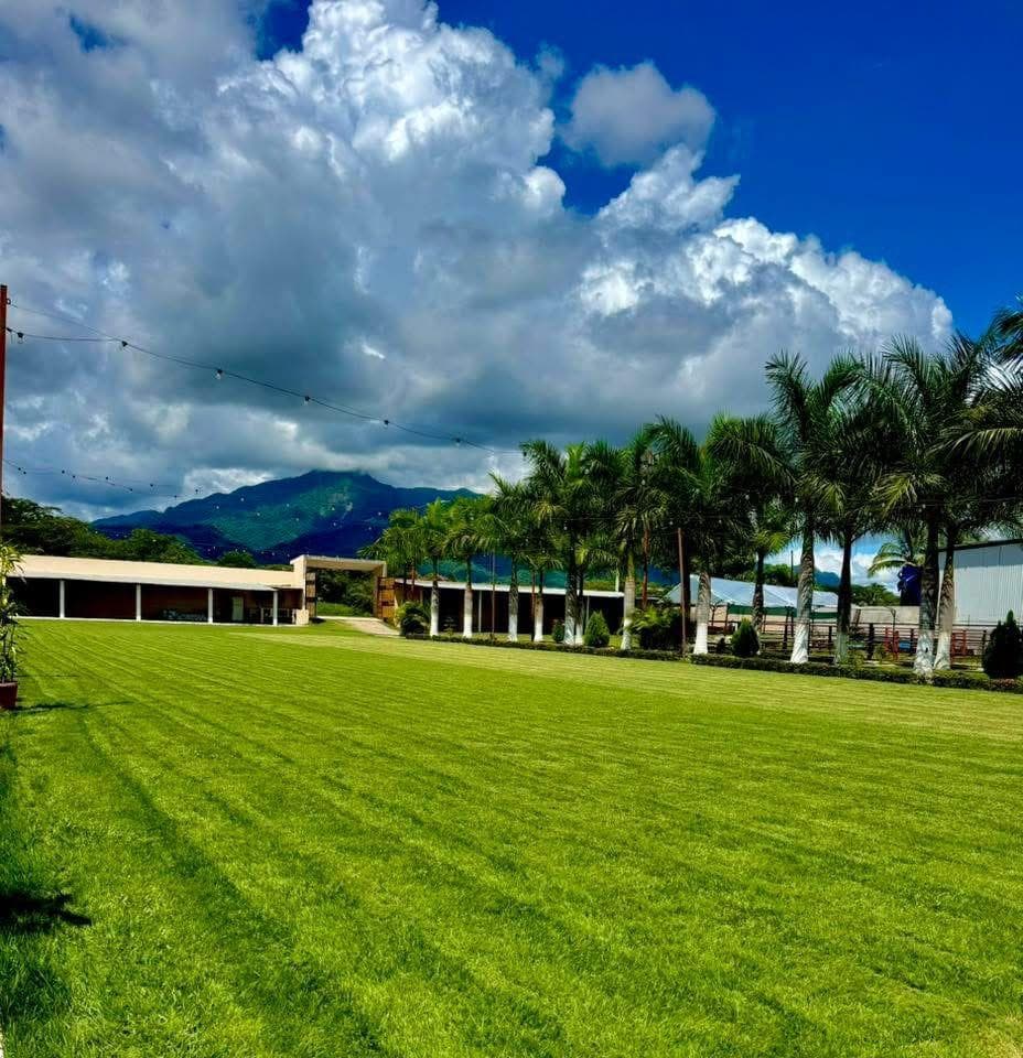 EXCELLENT RANCH, $19,000,000, NAYARIT. NEAR THE BEACH. SAN JUAN DE ABAJO. NEAR BUCERÍAS