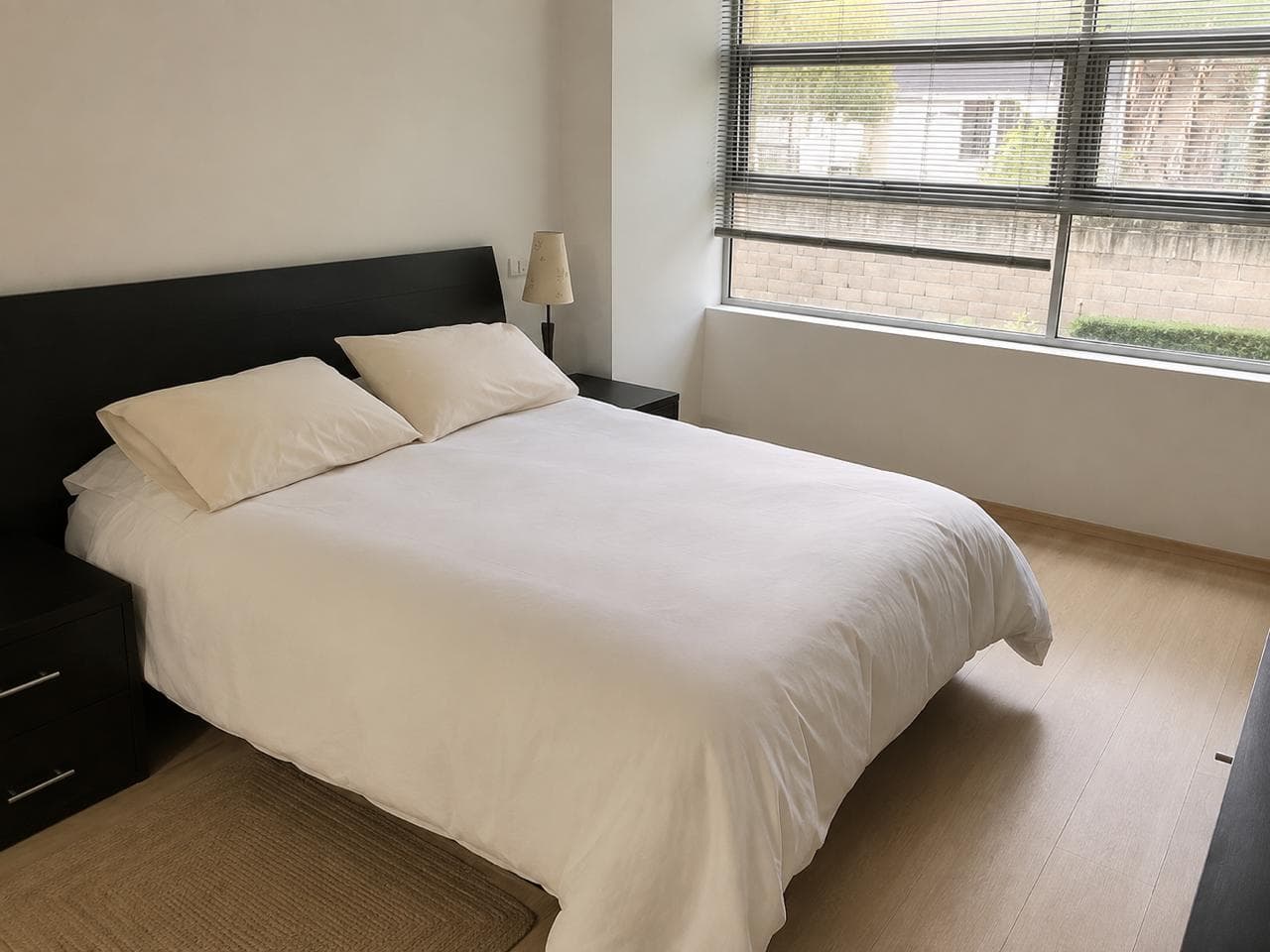 APARTMENT FOR RENT: $26,000, REFORMA SOCIAL NEIGHBORHOOD, MIGUEL HIDALGO DISTRICT.